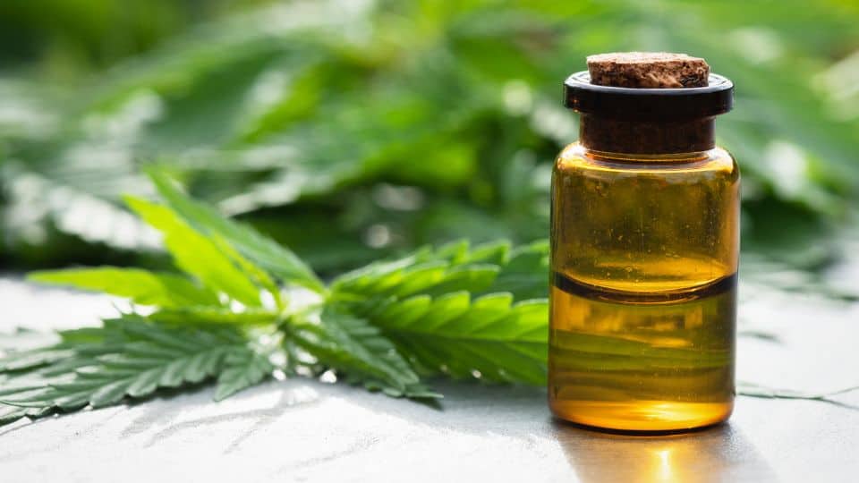 שמן CBD 