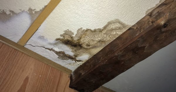 נזקי שוכרים? כך בונים נכון את התביעה לדרישת פיצויים